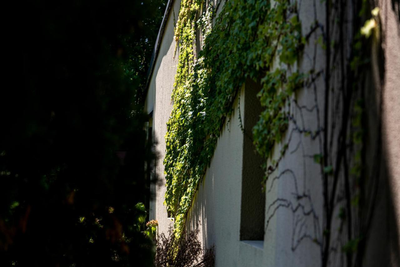 Agriturismo Le Chiusure San Felice del Benaco Kültér fotó