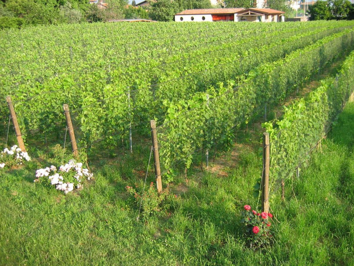 Agriturismo Le Chiusure San Felice del Benaco Kültér fotó